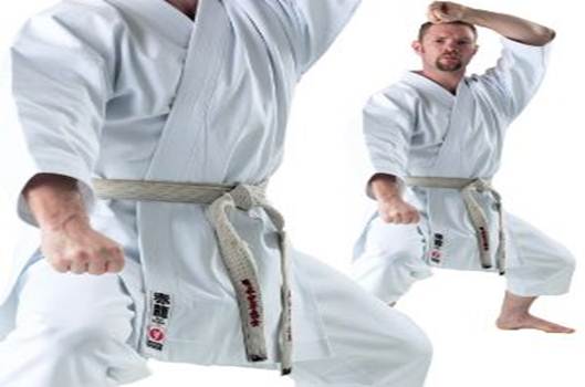 Description: http://www.martialartsclothing.co.uk/catalog/images/spk24-karate-hw-japanese.jpg